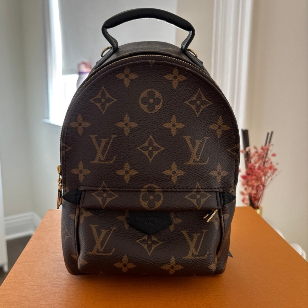 Louis Vuitton Palm Springs Mini